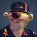 Mr Okami