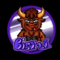 BISON_0_