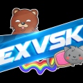 ExVSK