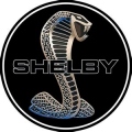 [GF] Shelby