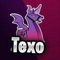 Texo