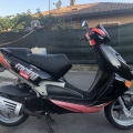 ste-CIARDI84