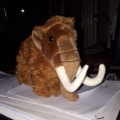 mammutmanni