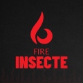Insecte