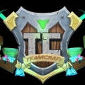 Teamcraft
