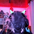 Ze_Beardy_Kuma