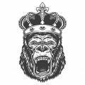 DjuDir