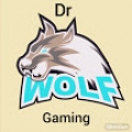 dr wolf