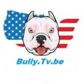Bully-Tv-be