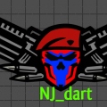 nj_dart
