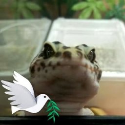 Miguel