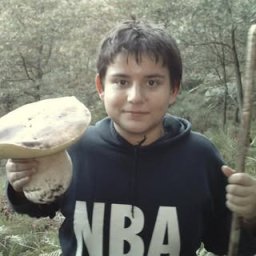 Excelente