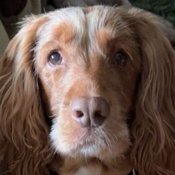 gamer-30b3af3