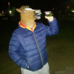 cadoni97