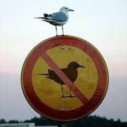 Skracof
