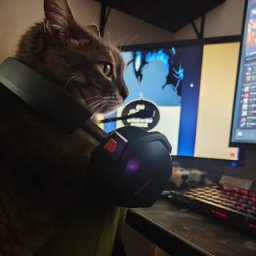 gamer-1de656