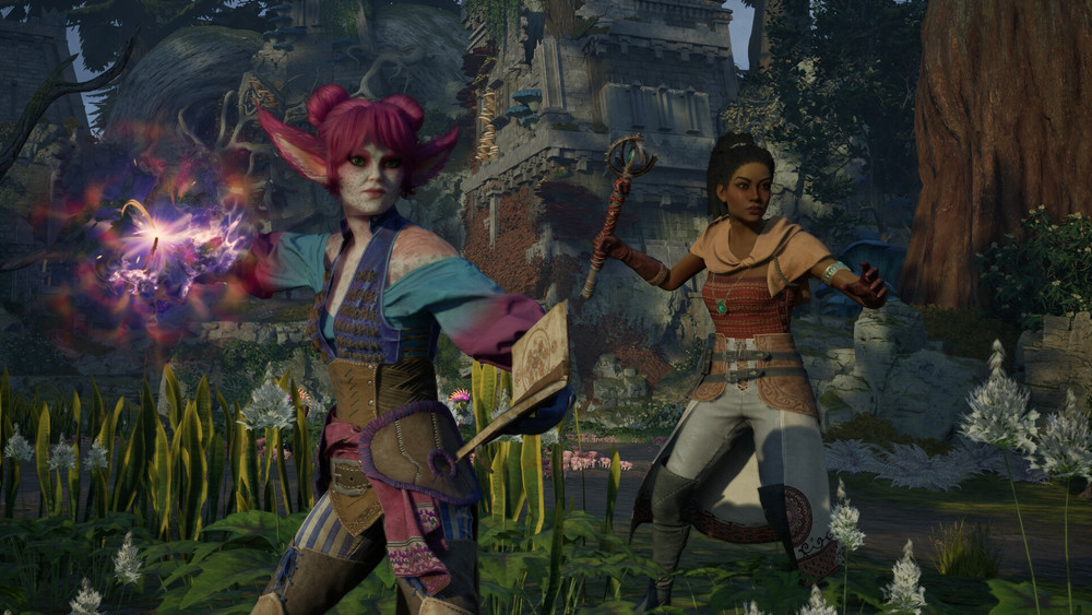 Avowed verkauft sich sehr gut auf Steam