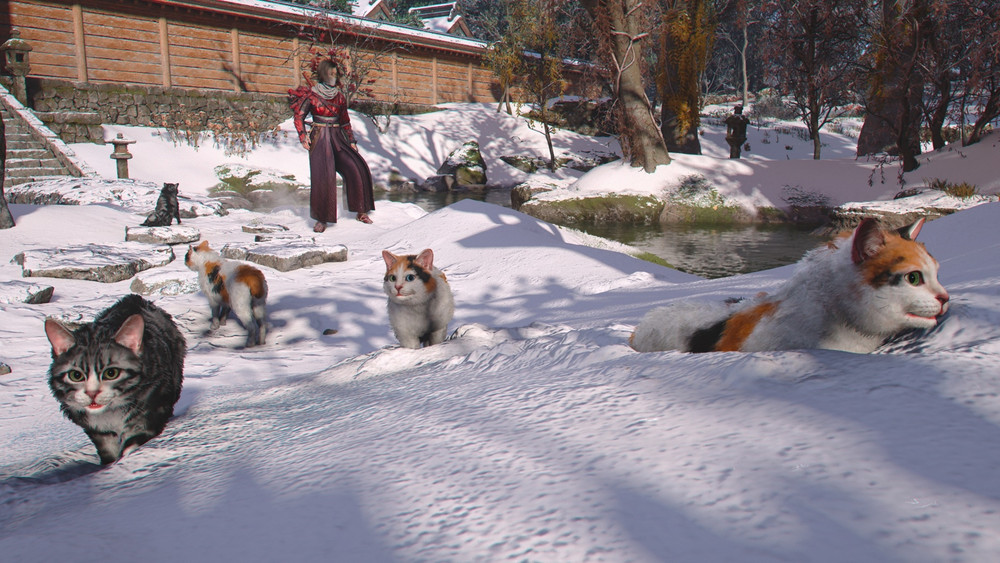 El gato de un empleado de Ubisoft aparece en Assassin's Creed Shadows