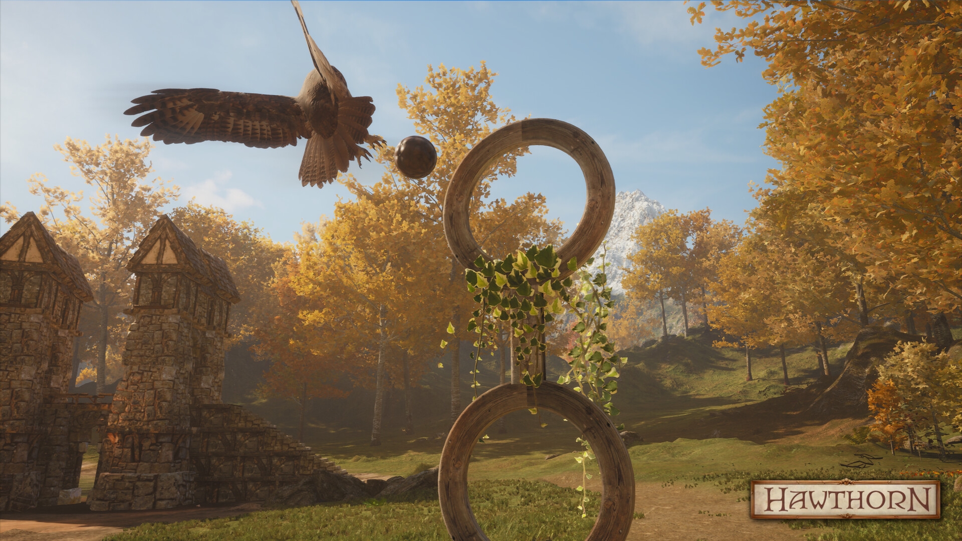 The crowdfunding campaign for the coop open-world RPG Hawthorn is here