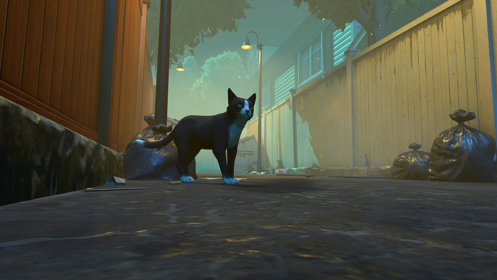 The narrative game Copycat is coming to PS5 and Xbox Series on May 29