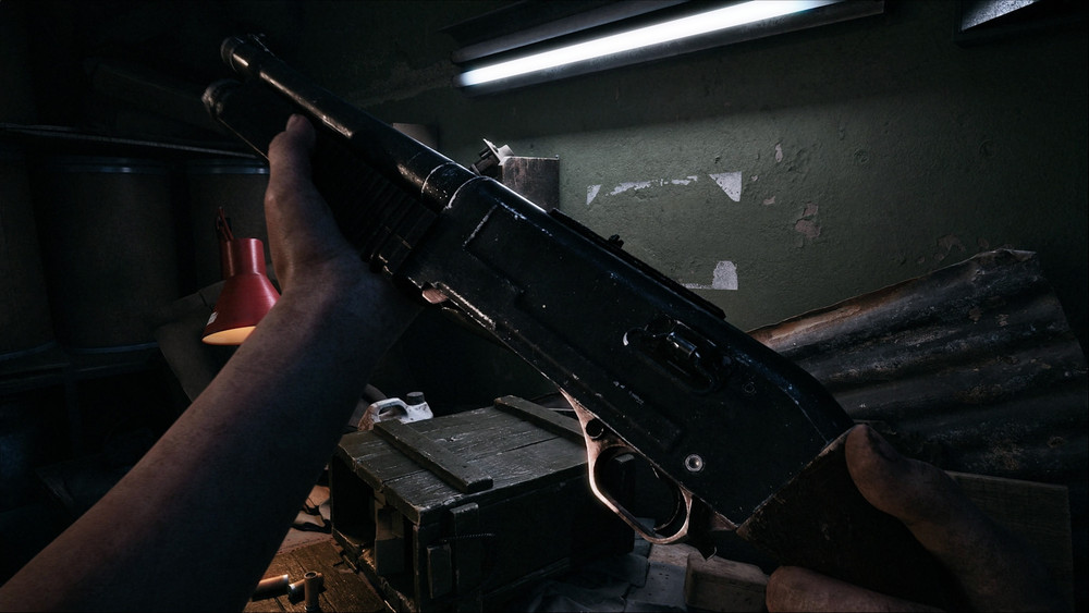 De nouvelles informations sur le survival-horror ILL