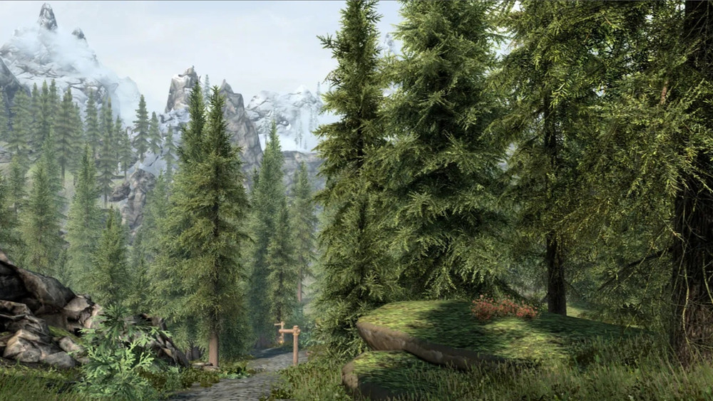 The Elder Scrolls VI terá mais árvores do que Skyrim
