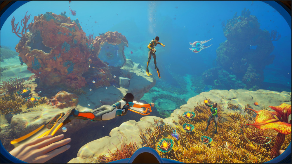 Subnautica 2 : le CLUF renferme des mentions comme le fait de pouvoir supprimer l'accès au jeu à tout moment