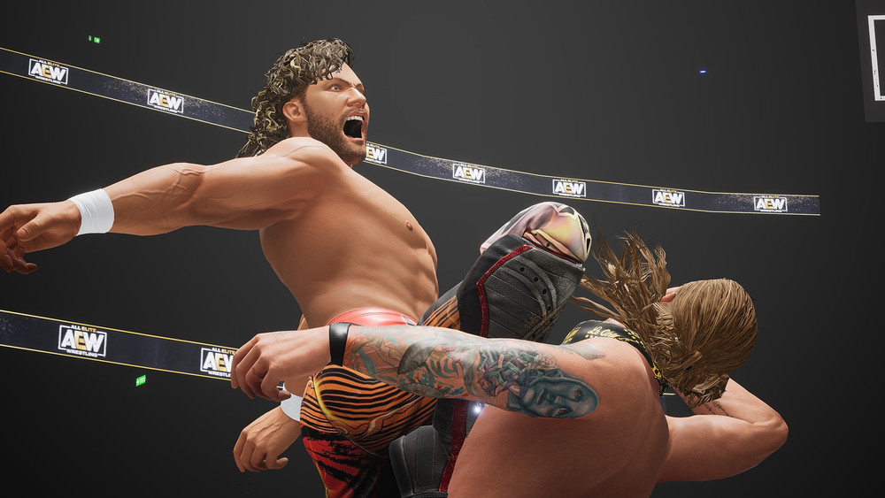 AEW Fight Forever crashes on PS4