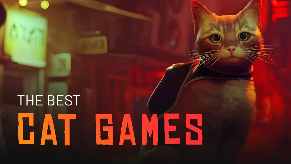 I migliori giochi con i gatti