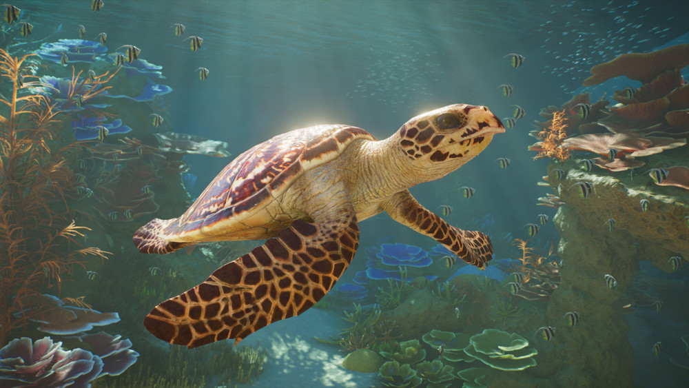 Planet Zoo 2 mostra como funcionam os seus aquários num vídeo