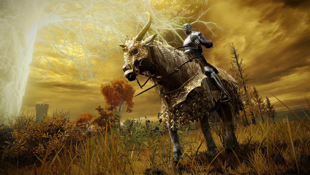 Elden Ring: una patch impedisce di condividere gratuitamente i bonus della versione per Switch 2