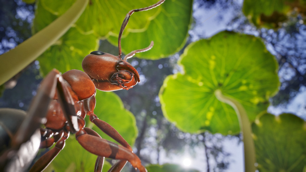 The Empire of Ants uscirà il prossimo 7 novembre