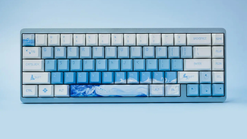 Amazon.com: Mechkeys VARMILO Muse65 Wired Magnetic Switches