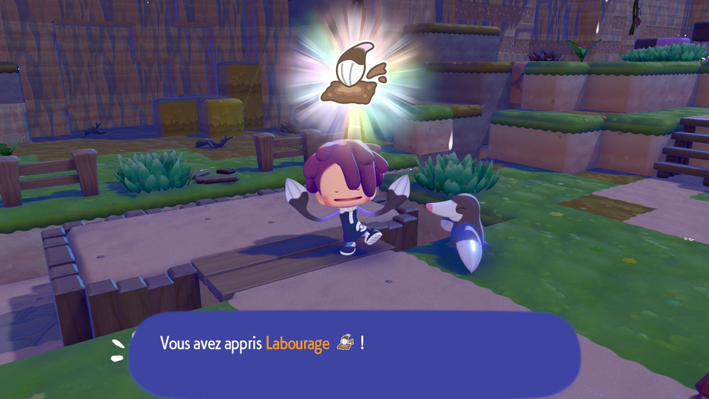 Moment auquel le joueur apprend la compétence d’un Pokémon pour ameublir la terre