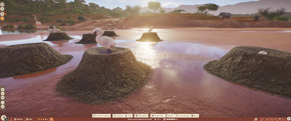 Weitwinkelaufnahme eines Naturschutzgebiets, in dem man Flamingobabys und Nistplätze sieht