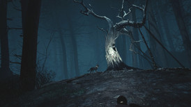 Blair Witch VR screenshot 3