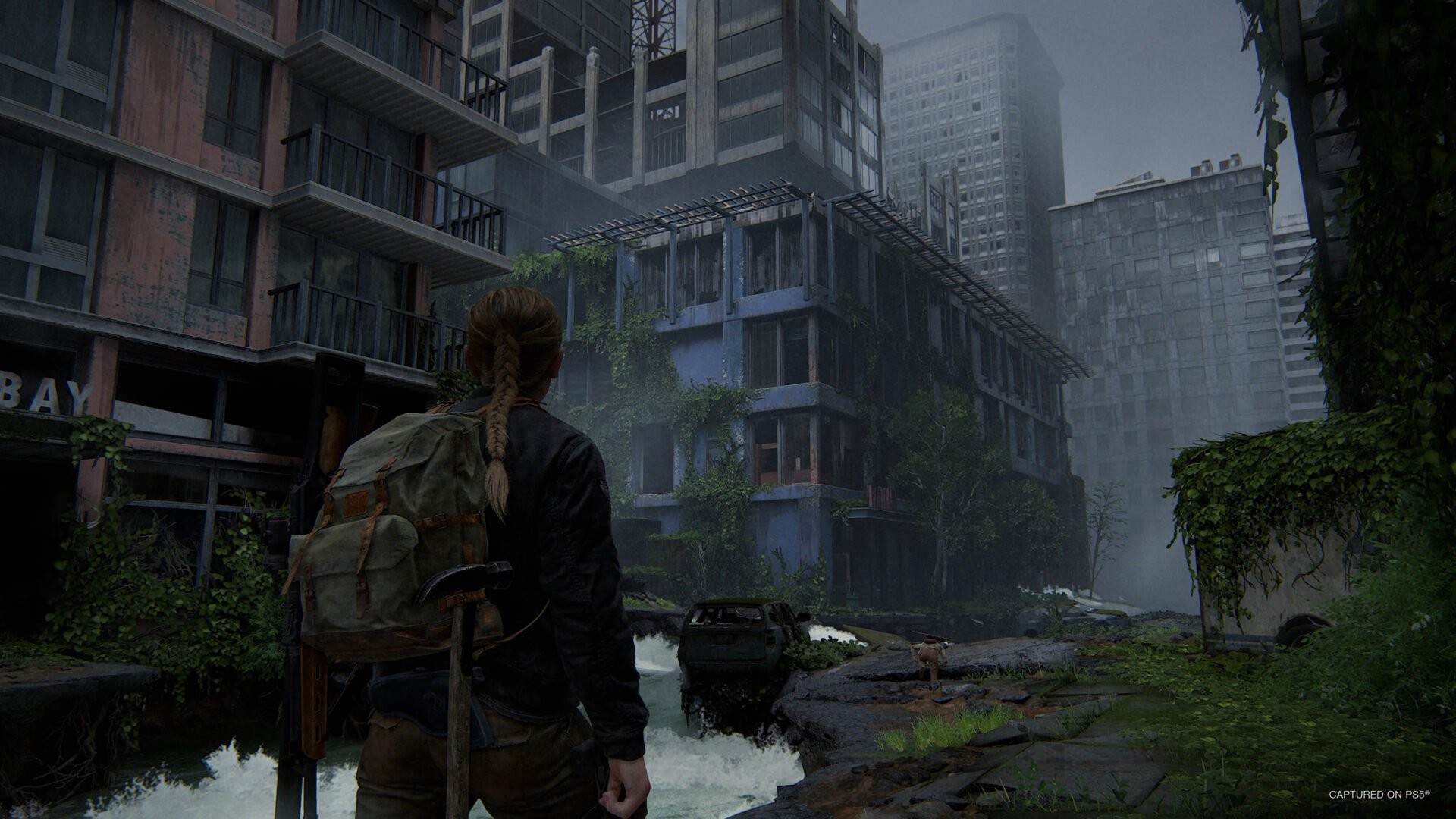 It's officialThe Last Of Us Part II Remaster pre-order will be