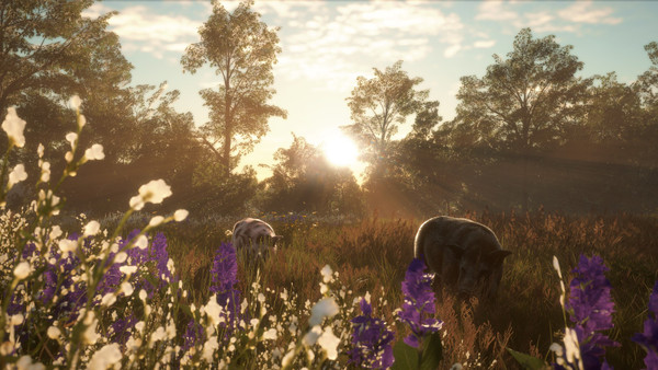 TheHunter: Call of the Wild - Mississippi Acres Preserve screenshot 1