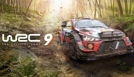 WRC 9: FIA World Rally Championship