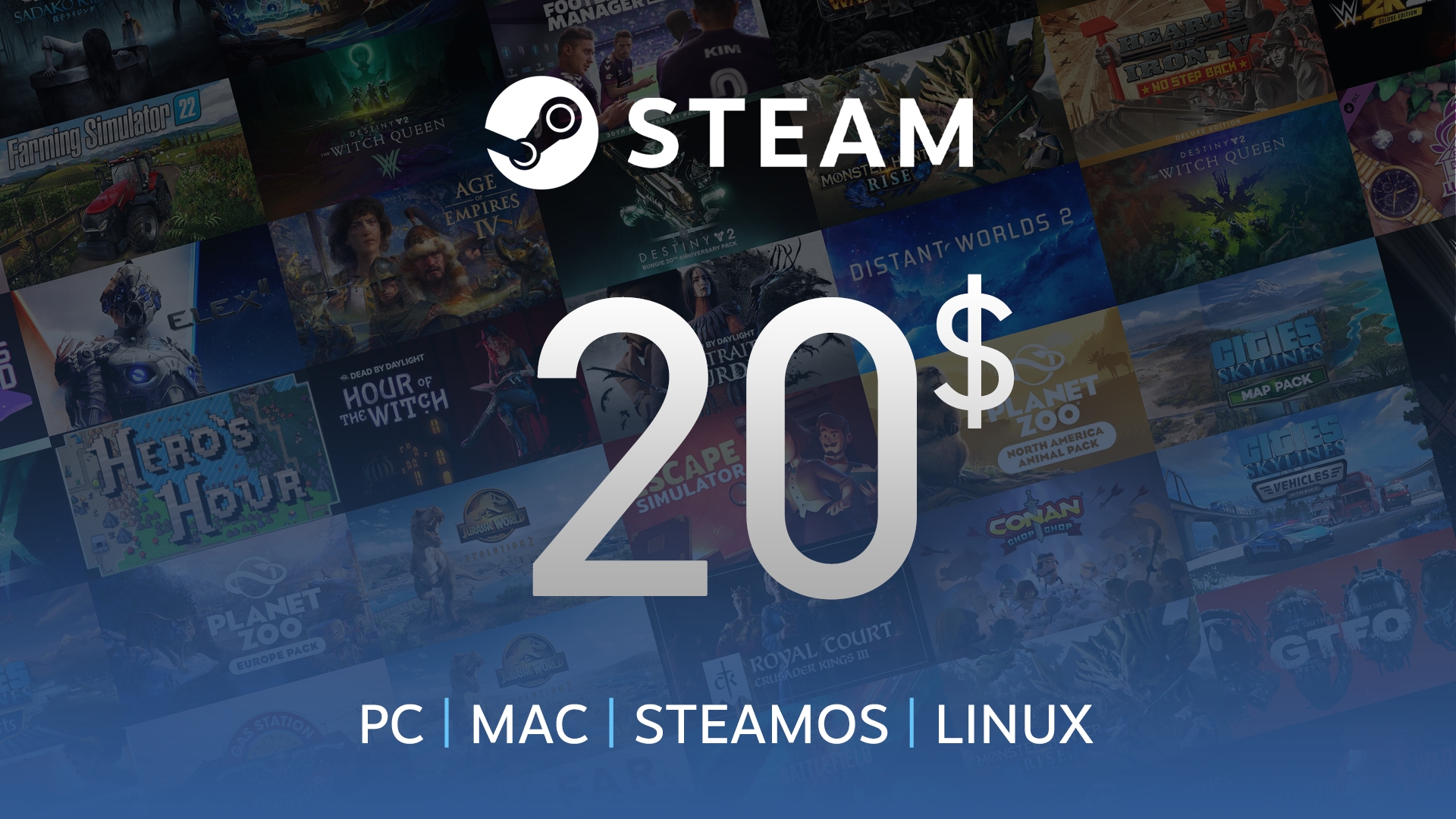 Steam $20 Gift Card, Music & Gaming, Food & Gifts