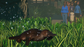 Planet Zoo: Pacote de Animais do Pântano screenshot 2