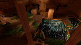 Tomb Raider V: Chronicles screenshot 3