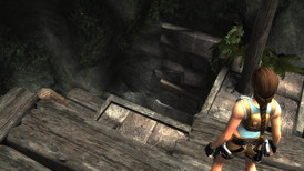Tomb Raider: Anniversary screenshot 5