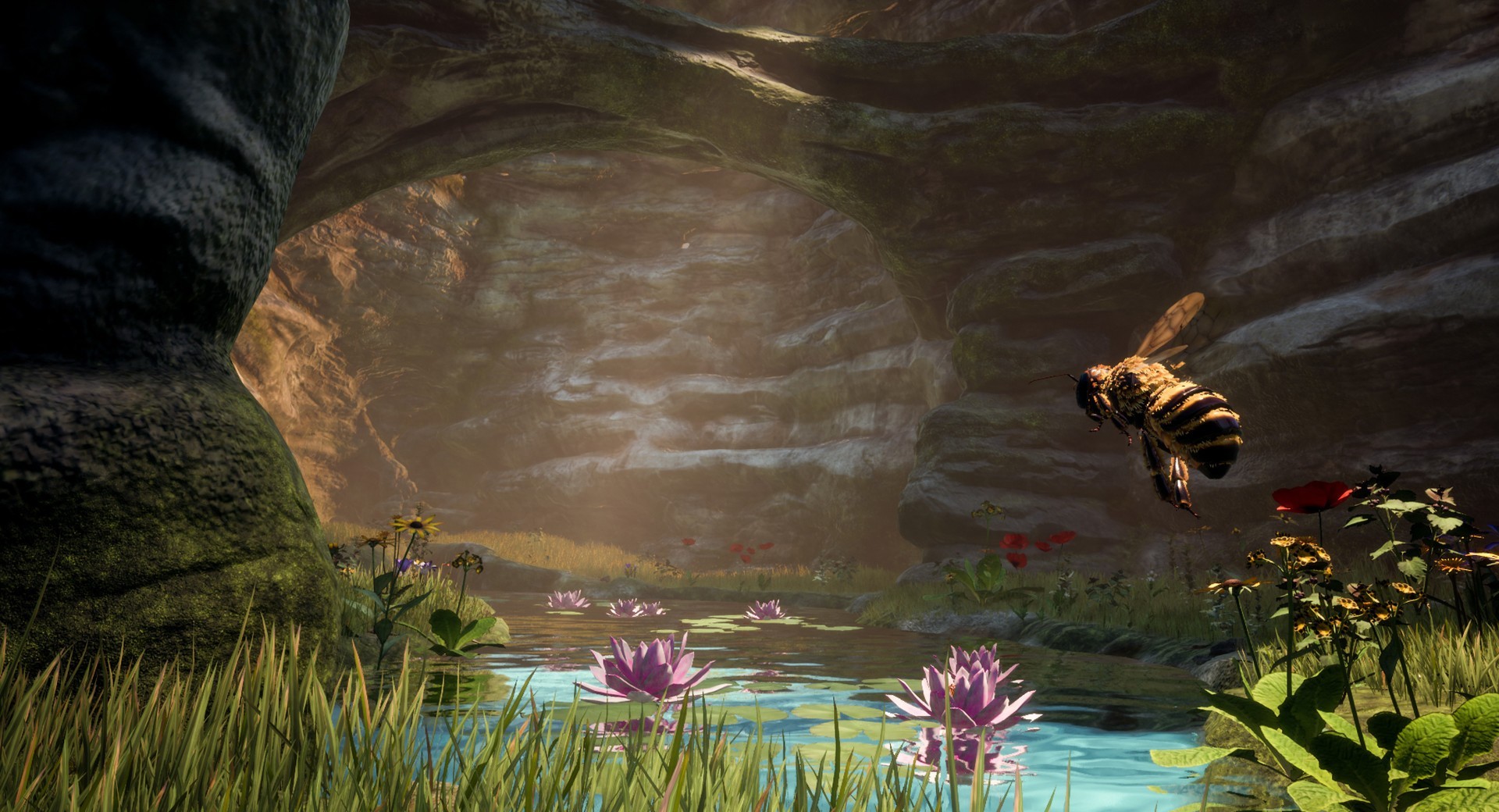 Buy Bee Simulator - Xbox One