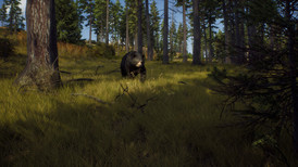 Way of the Hunter screenshot 4