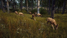 Way of the Hunter screenshot 2