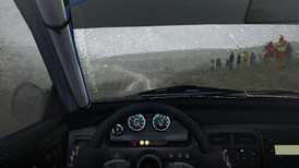 DiRT Rally screenshot 3