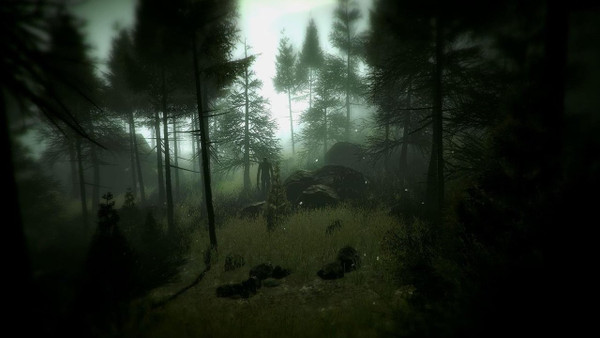 Slender: The Arrival screenshot 1