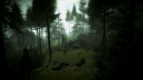 Slender: The Arrival (Xbox ONE / Xbox Series X|S) screenshot 1