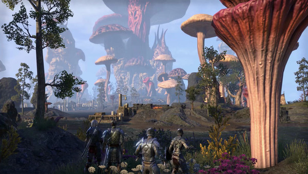 The Elder Scrolls Online screenshot 1